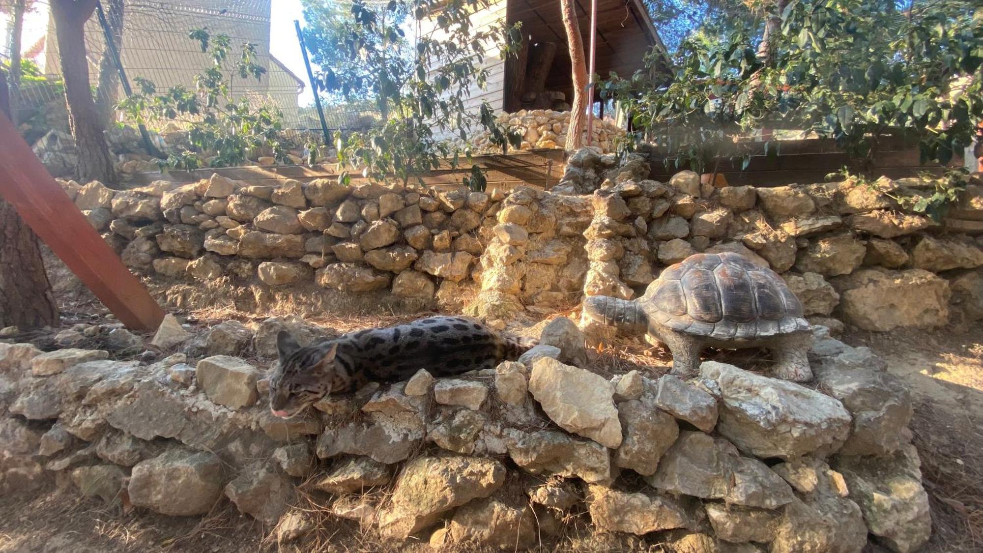 Les Jardins De L'Oustal Vila Narbona Exterior foto